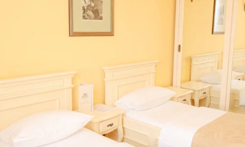 Стандарт з роздільними ліжками Respect Hotel